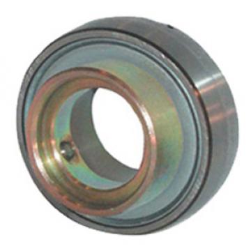 INA RA100-NPP-B Insert Bearings Spherical OD