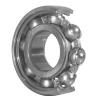 SKF 6024/C3S1 Single Row Ball Bearings #1 small image